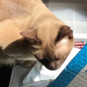 Meet your Posher, Michele